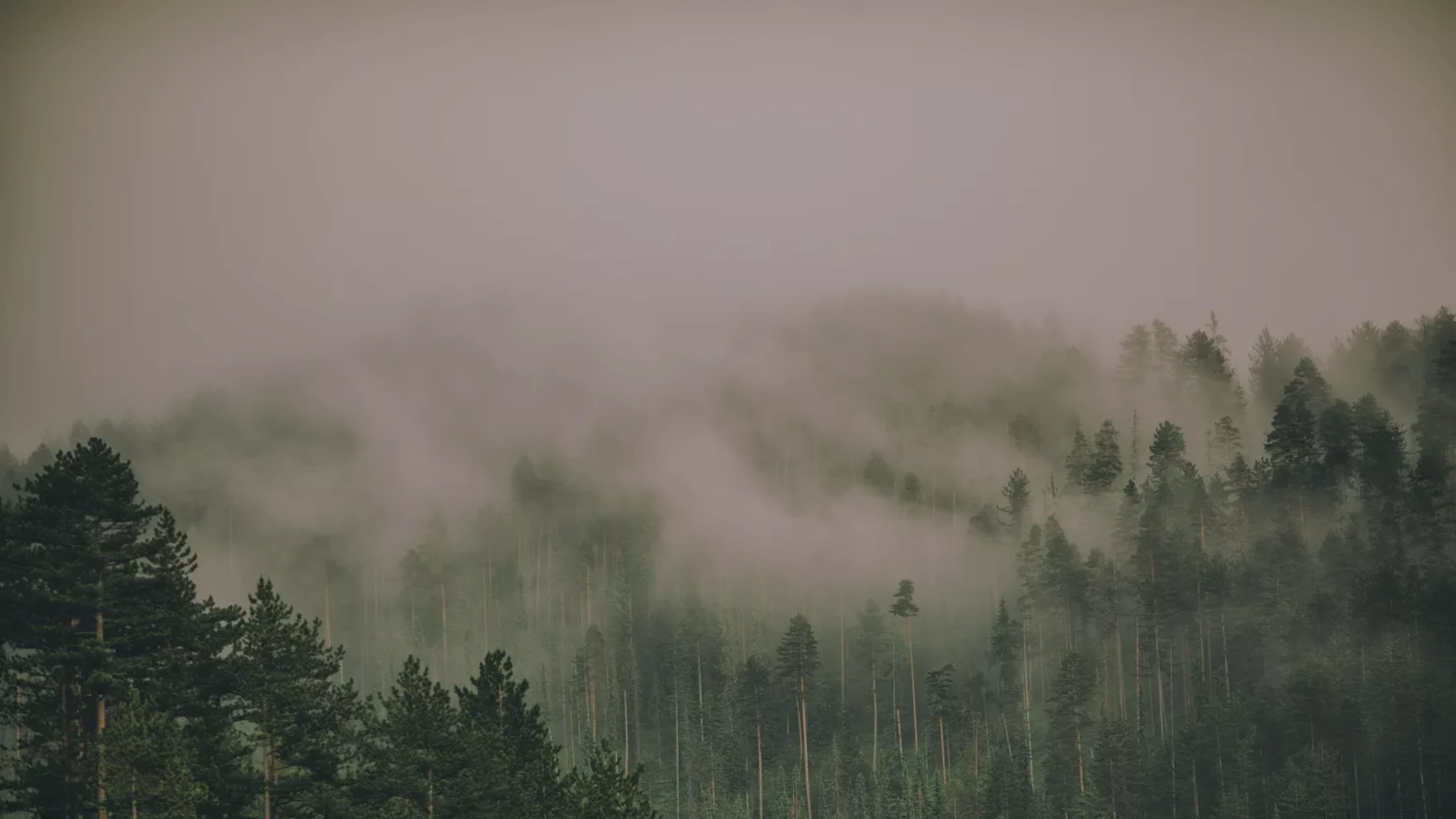 天陵園事業股份有限公司